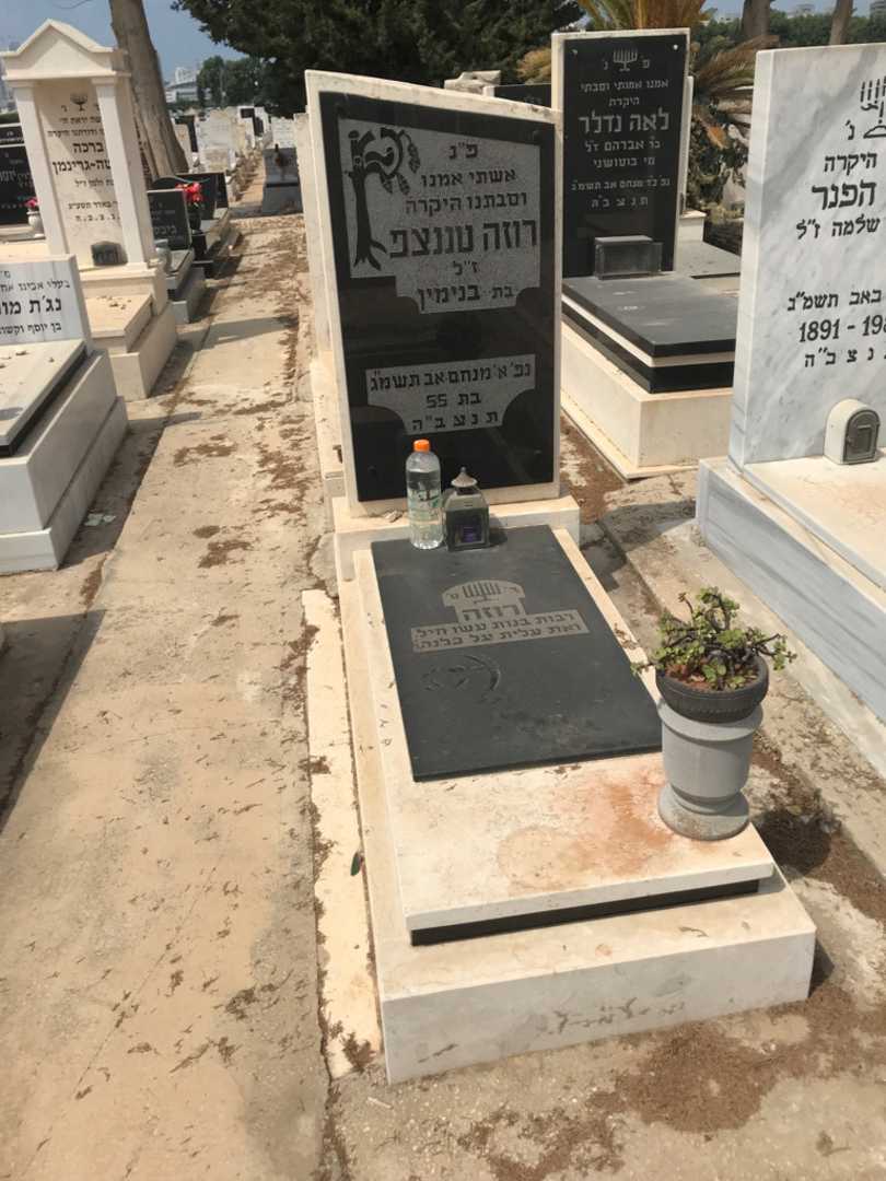 קברו של רוזה טננצפ