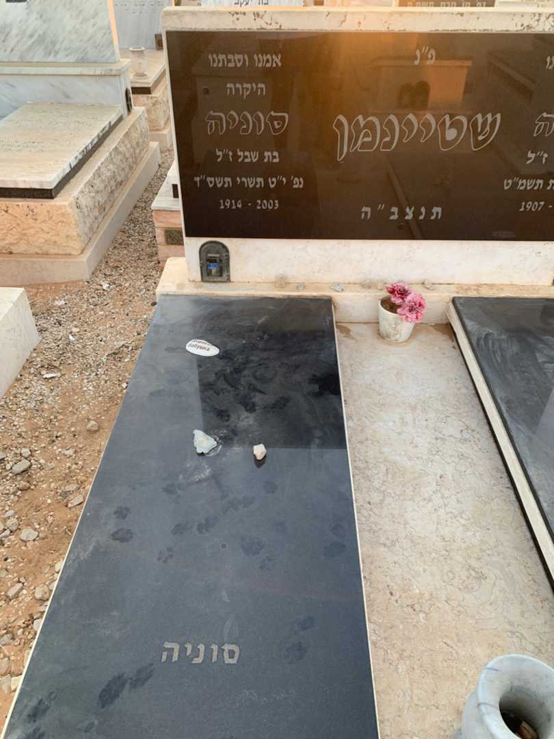 קברו של סוניה שטיינמן. תמונה 2