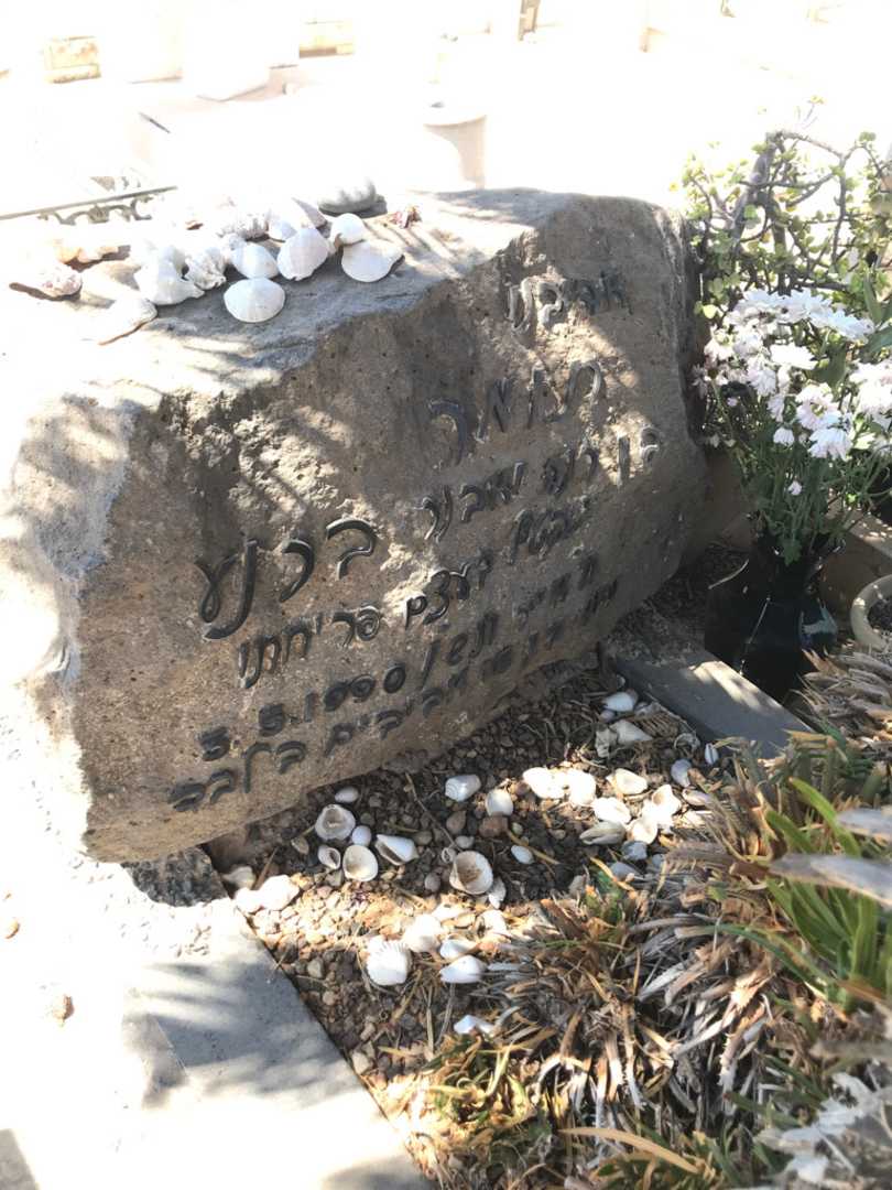 קברו של תומר ברנע. תמונה 2