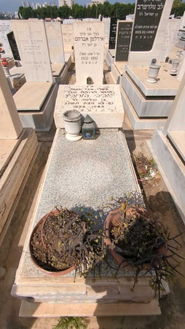 קברו של אביבי הורוביץ