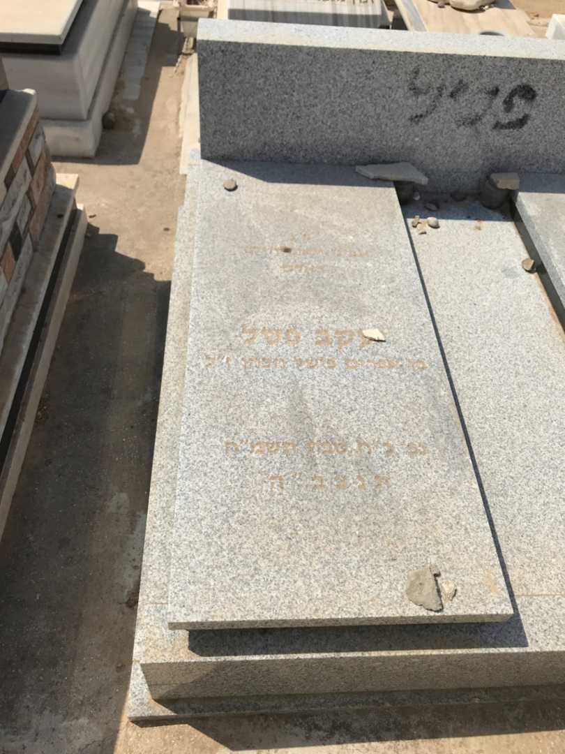קברו של יעקב פטל. תמונה 2