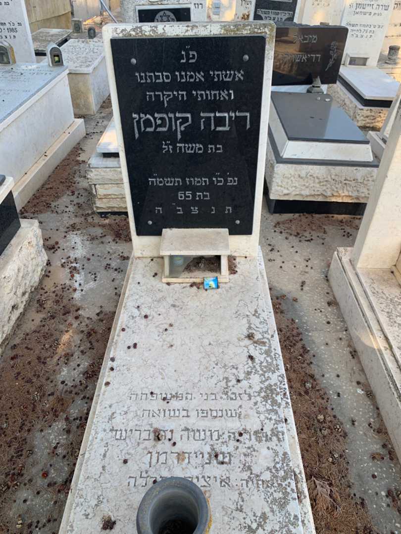 קברו של משה שניידרמן
