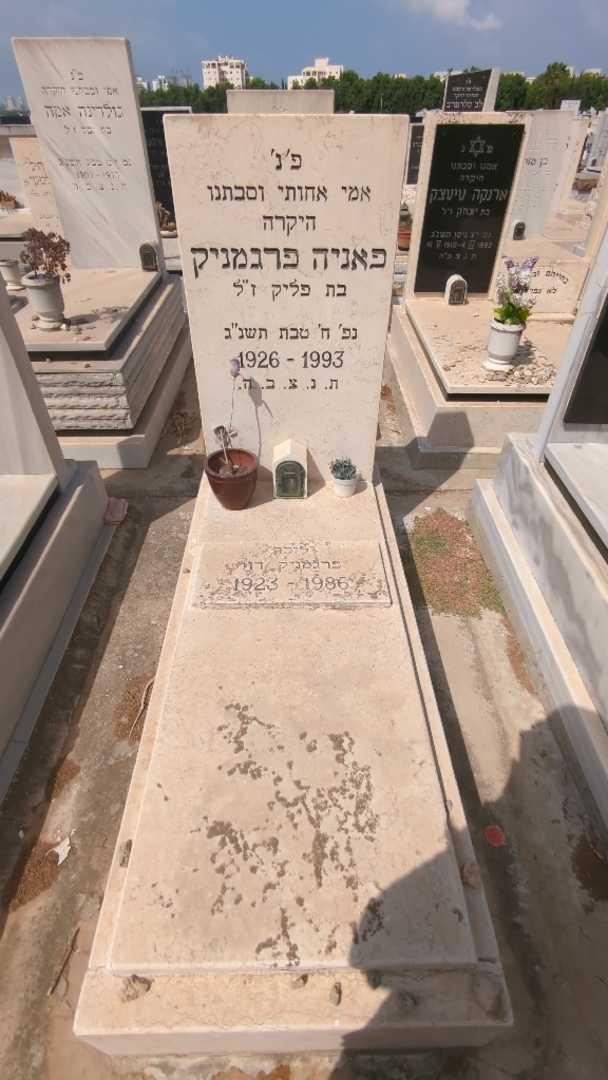קברו של דוד פרגמניק
