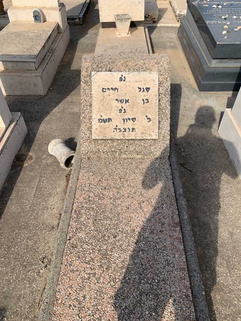 קברו של חיים סגל