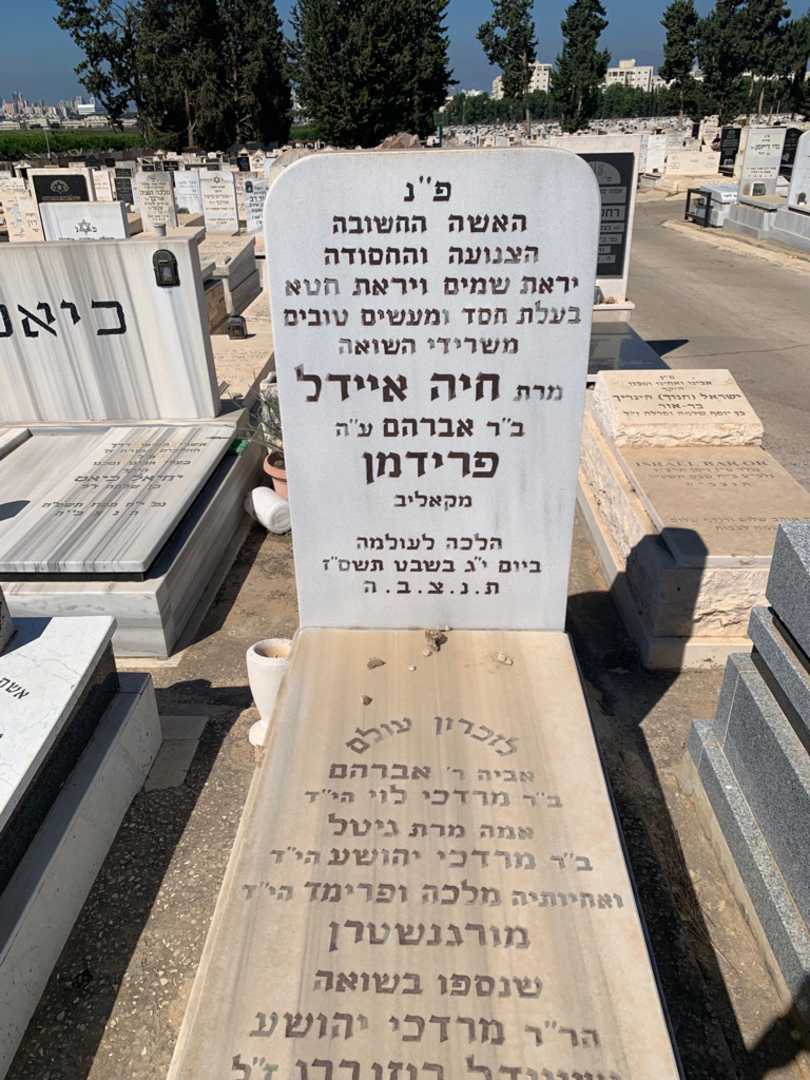 קברו של מרדכי יהושע רוזנברג. תמונה 1