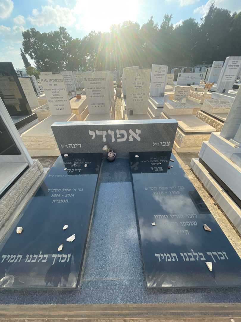 קברו של צבי אפודי. תמונה 1