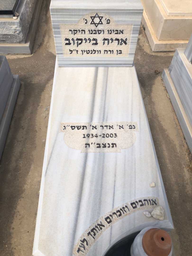 קברו של אריה בייקוב