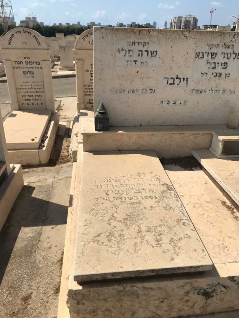 קברו של דוד הרשקוביץ. תמונה 2