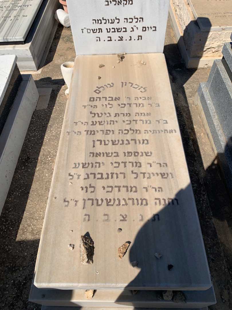 קברו של מרדכי יהושע רוזנברג. תמונה 2