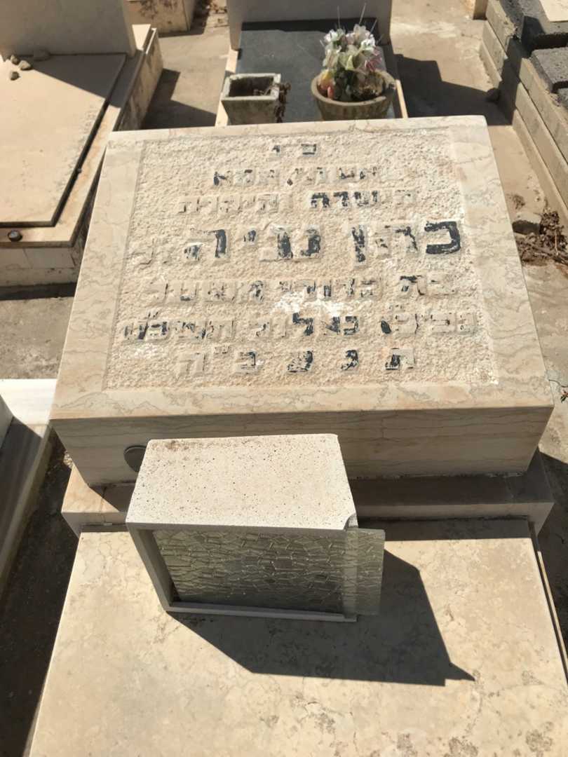 קברו של נג'יה כהן. תמונה 2