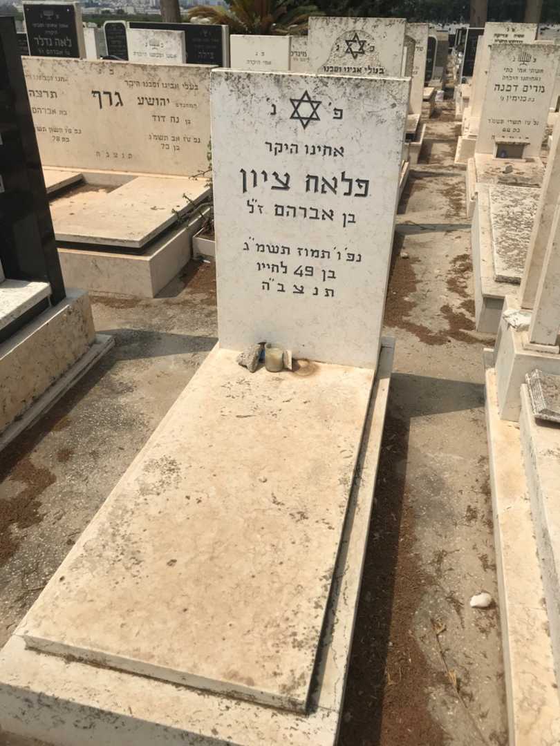 קברו של ציון פלאח