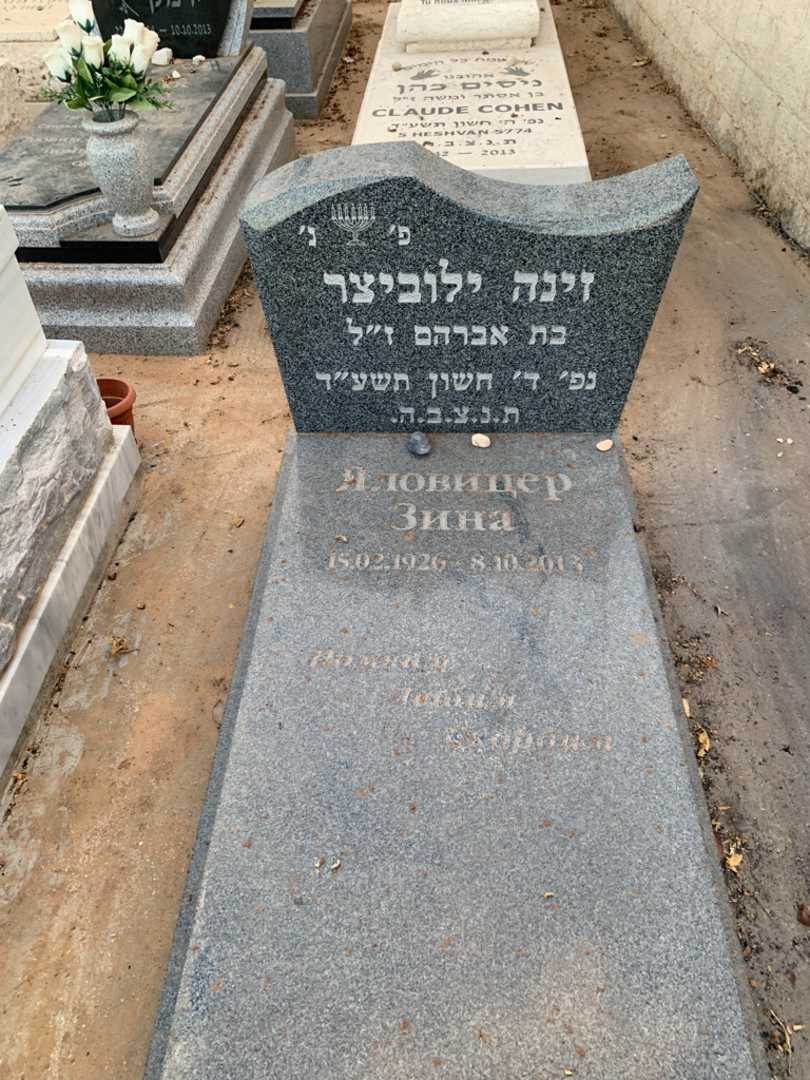 קברו של זינה ילוביצר