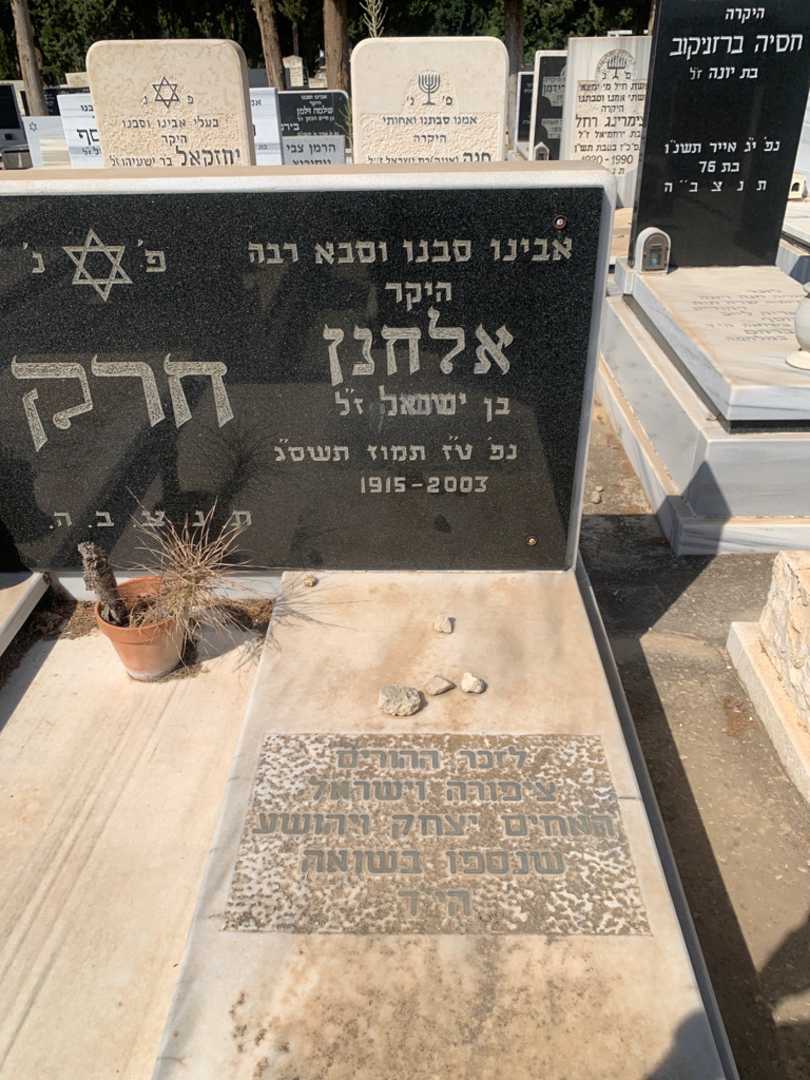 קברו של אלחנן חרק. תמונה 2