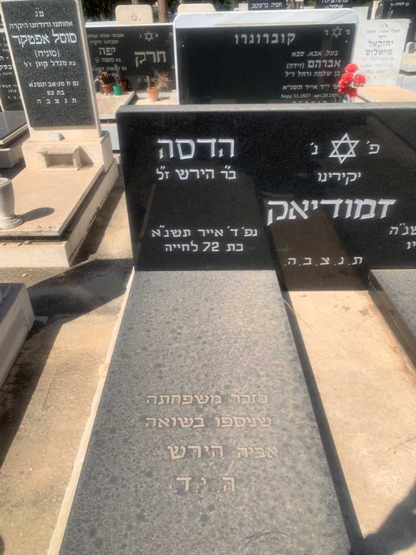 קברו של הדסה זמודיאק. תמונה 2