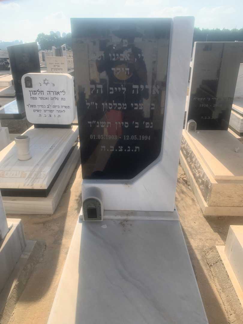 קברו של אריה "לייב" הלל. תמונה 1