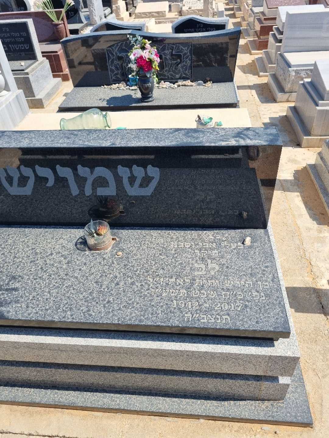 קברו של לב שמויש. תמונה 1