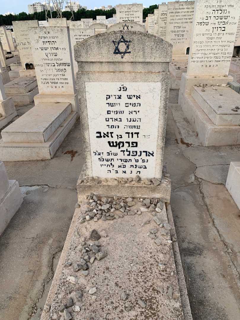 קברו של דוד "ארנפלד" פרקש