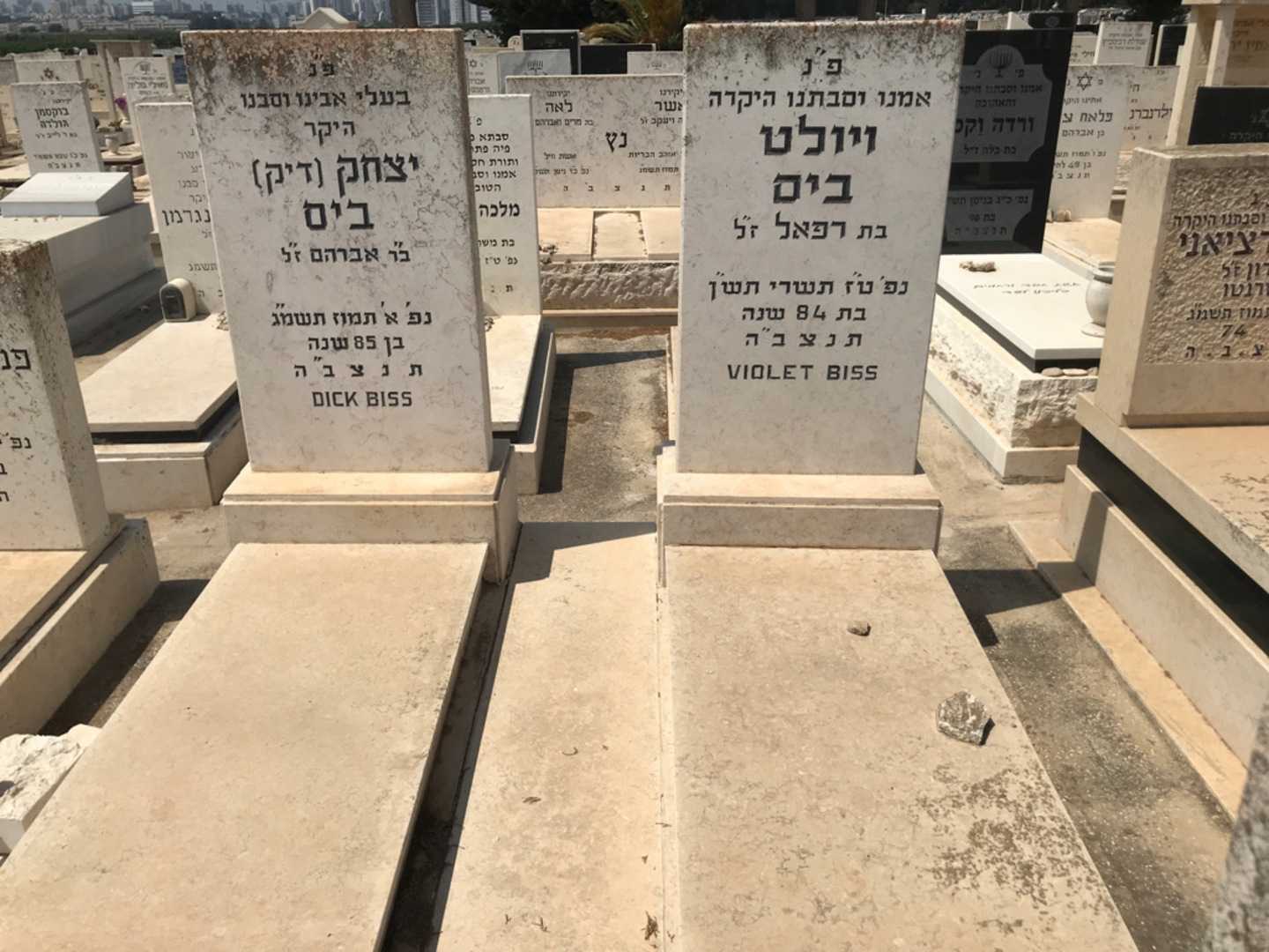 קברו של יצחק "דיק" ביס. תמונה 1