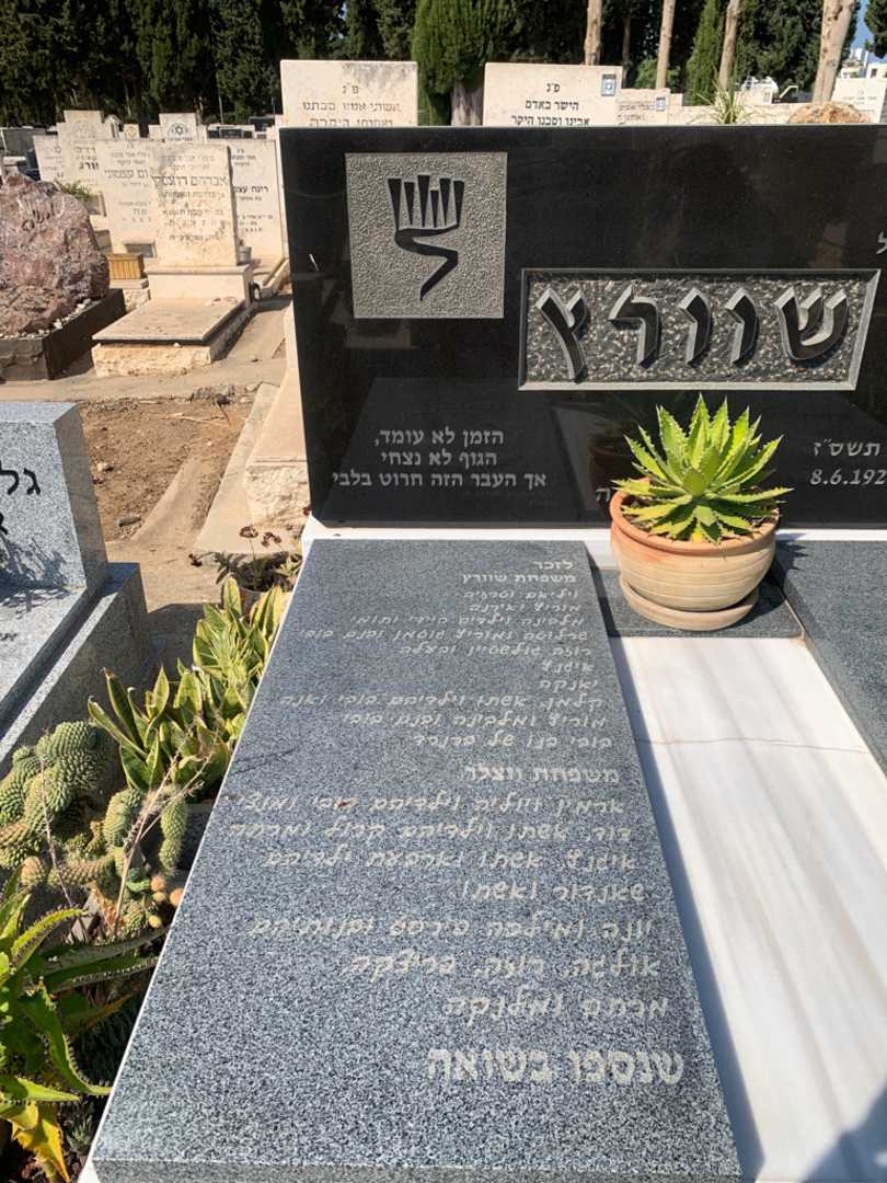 קברו של רוזה גולשטיין. תמונה 2