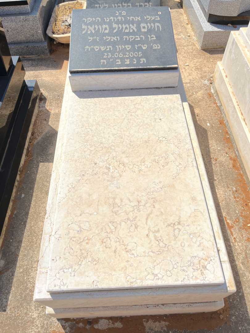 קברו של חיים אמיל מויאל. תמונה 2