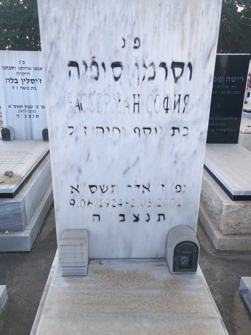קברו של סופיה וסרמן. תמונה 1