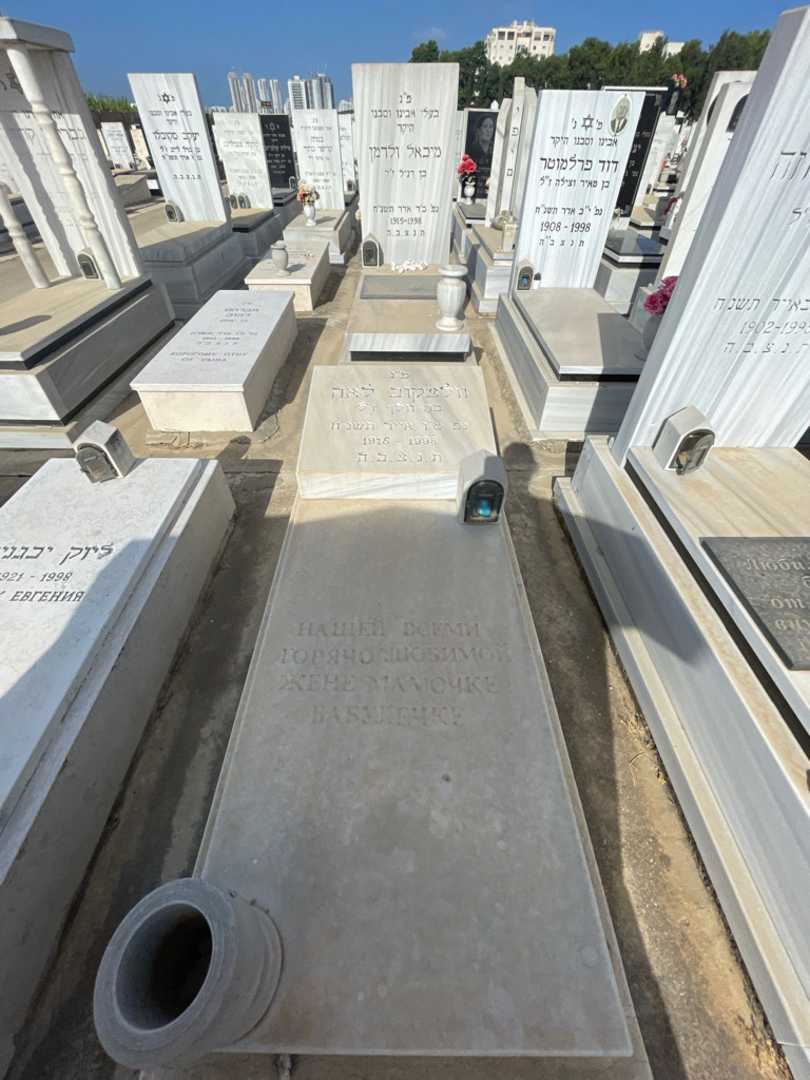 קברו של לאה וולצ'קוב