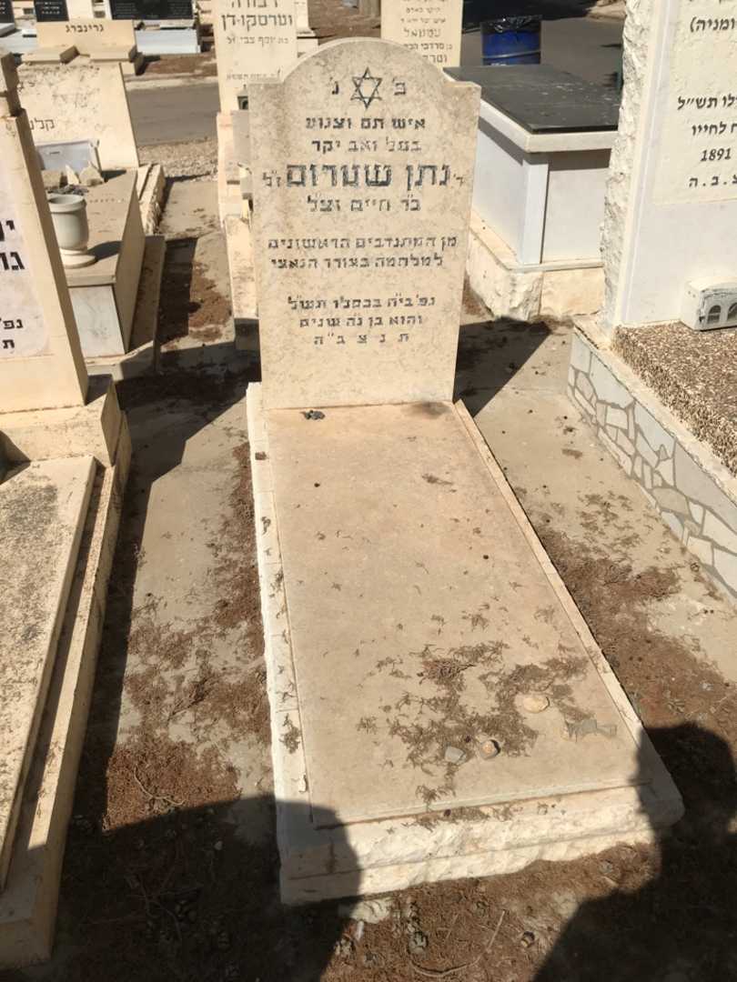 קברו של נתן שטרום