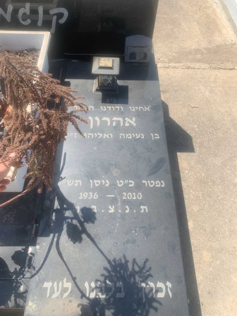 קברו של אהרון קוגמן. תמונה 1