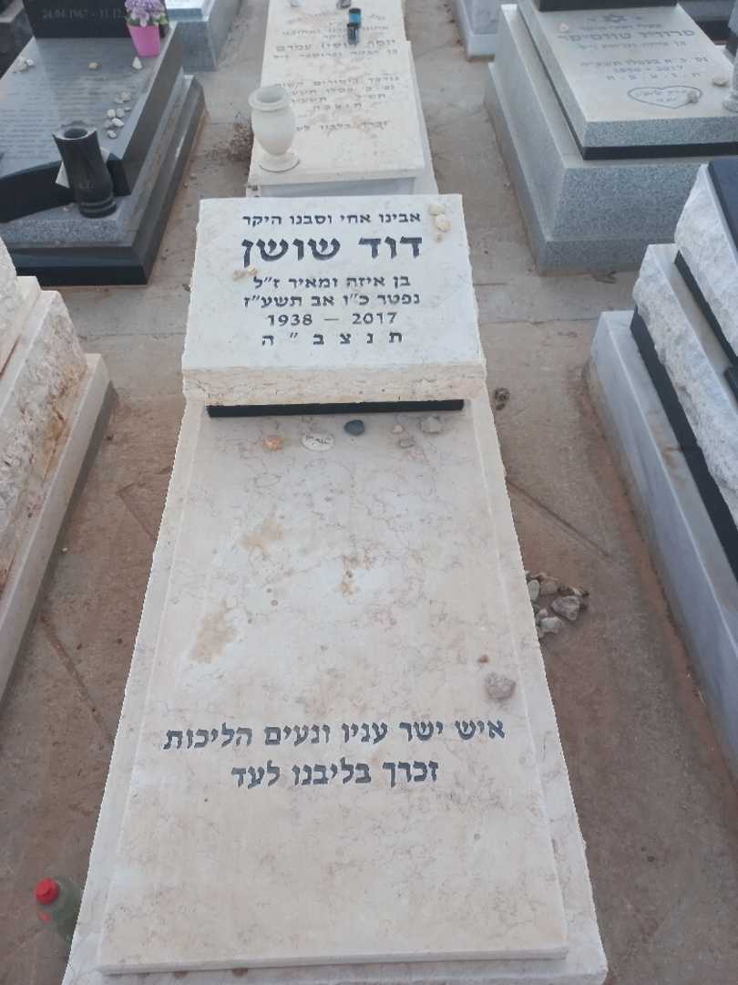 קברו של דוד שושן