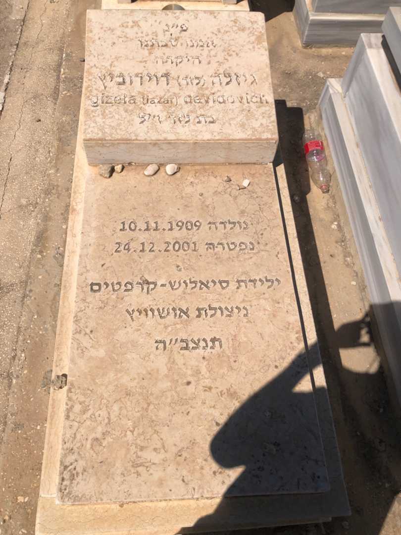 קברו של גיזלה "לזר" דוידוביץ