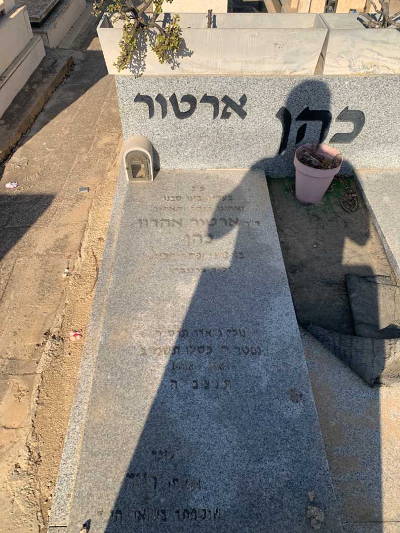 קברו של ארטור אהרון כהן. תמונה 2