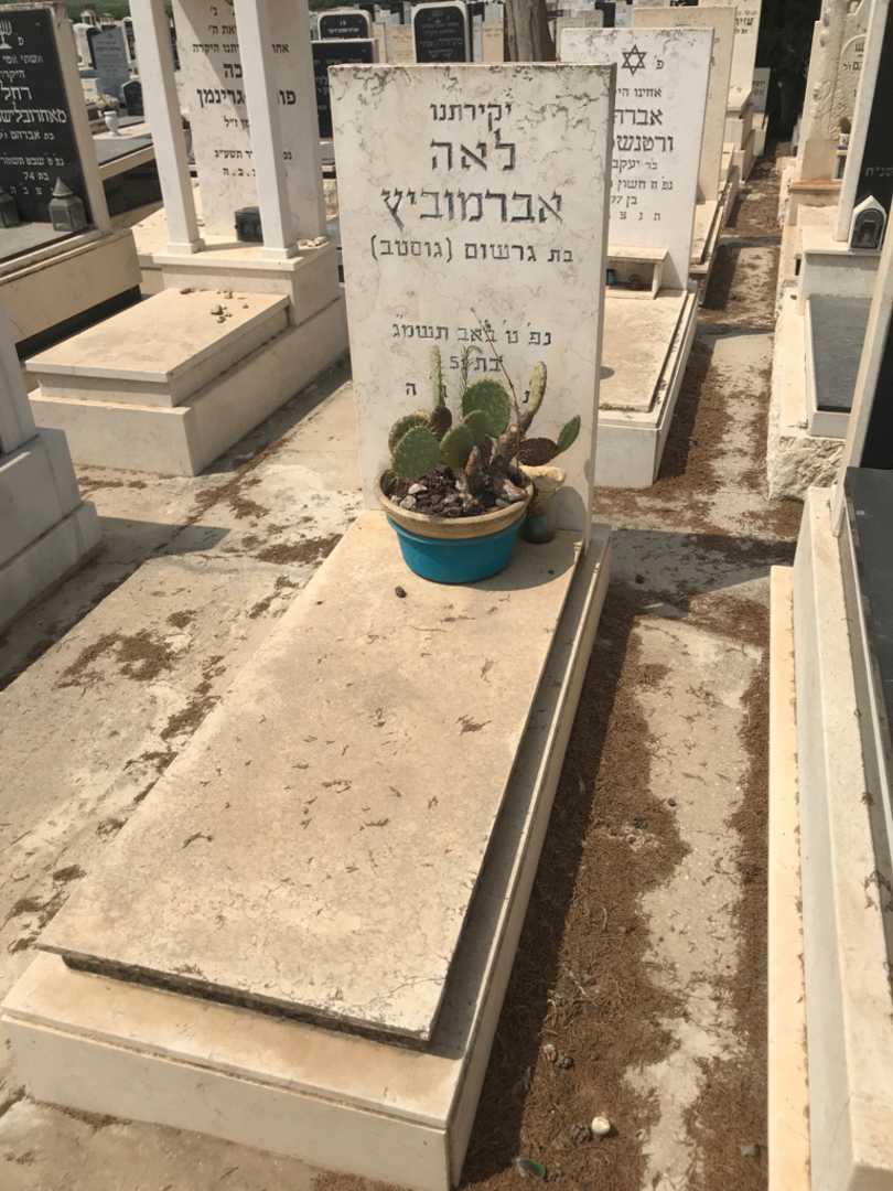 קברו של לאה אברמוביץ
