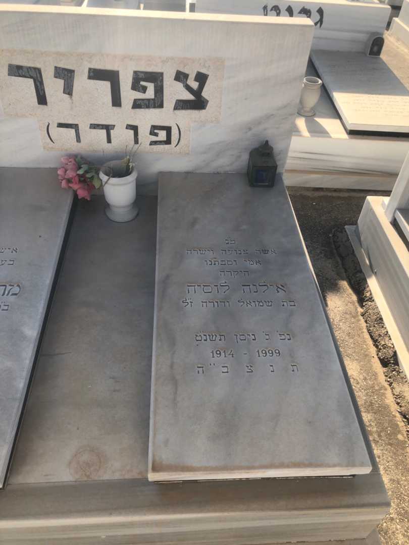קברו של אילנה לוסיה צפריר פודר. תמונה 1