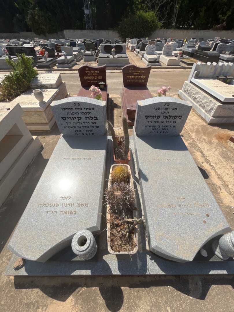 קברו של בלה קיוויס. תמונה 1