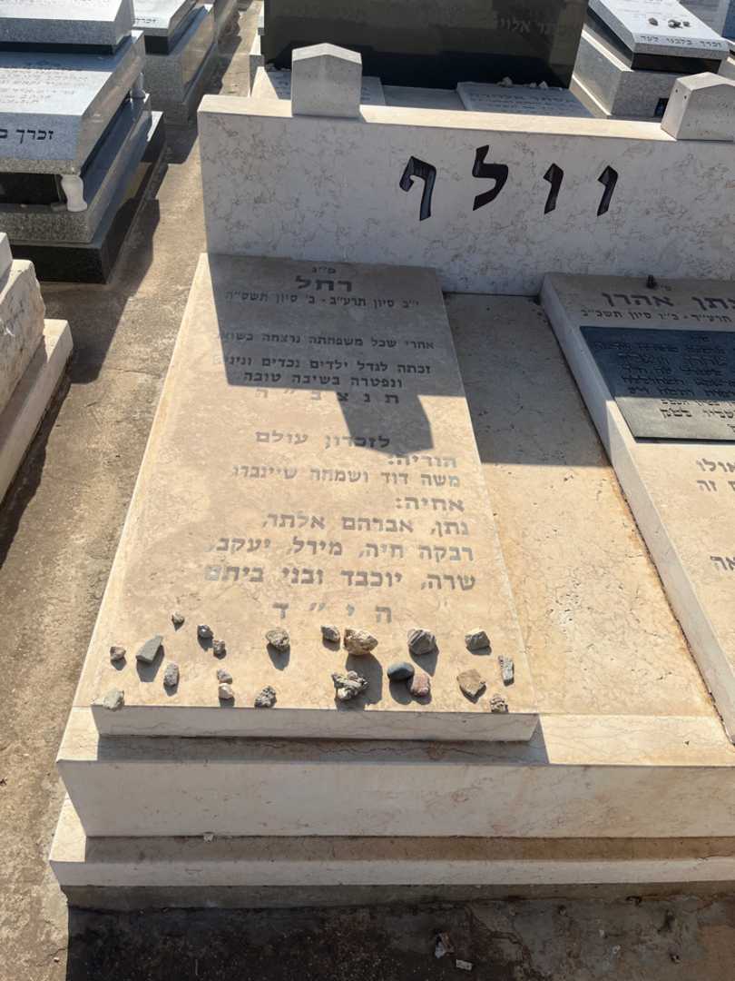 קברו של משה דוד שיינברג. תמונה 1