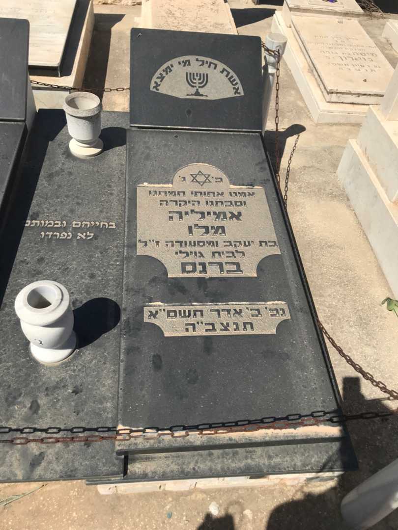 קברו של אמיליה מלו ברנס. תמונה 2