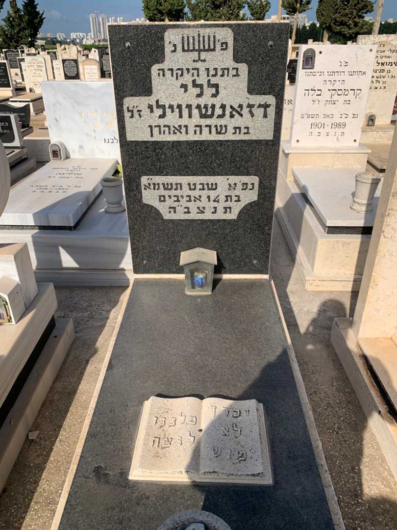קברו של ללי דז'אנשווילי