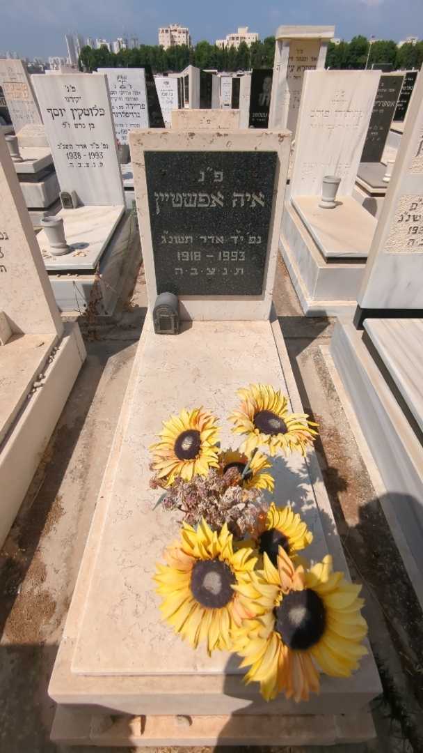 קברו של איה אפשטיין
