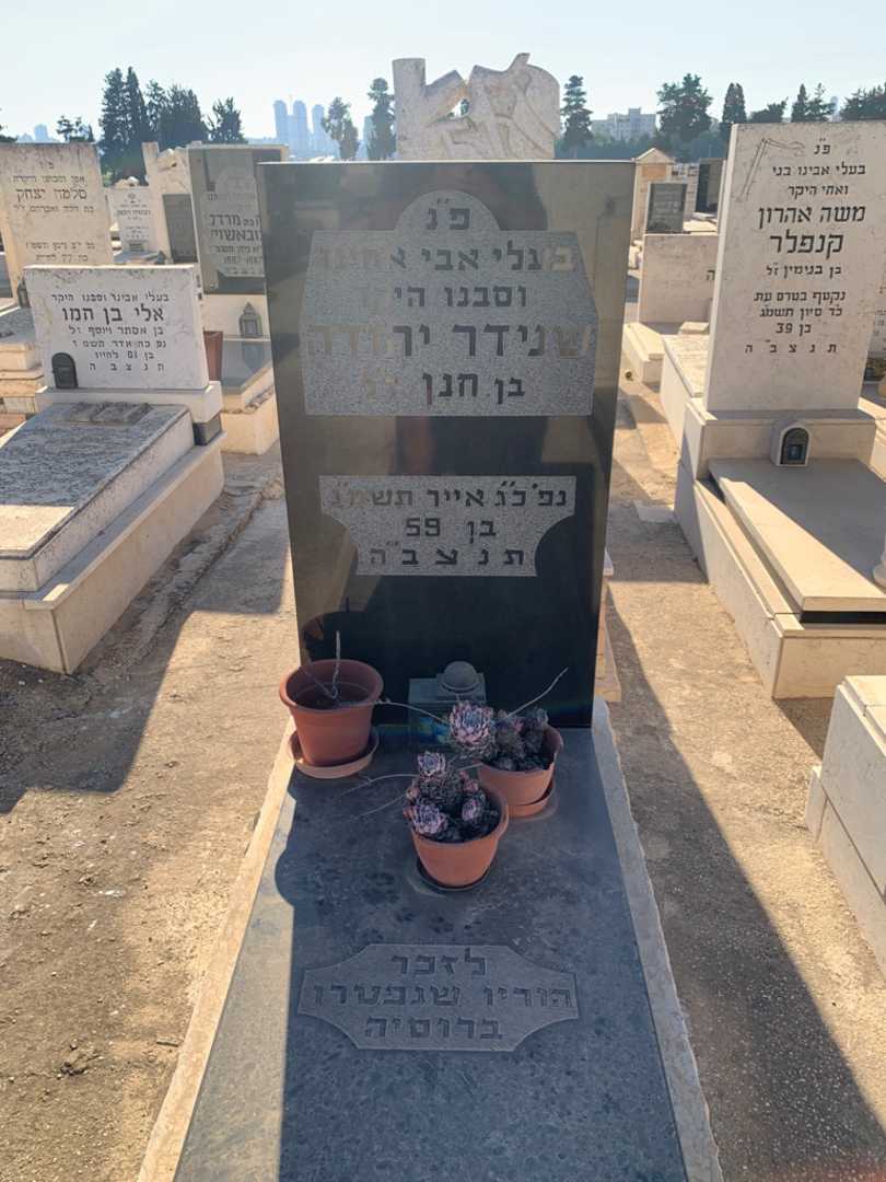 קברו של יהודה שנידר