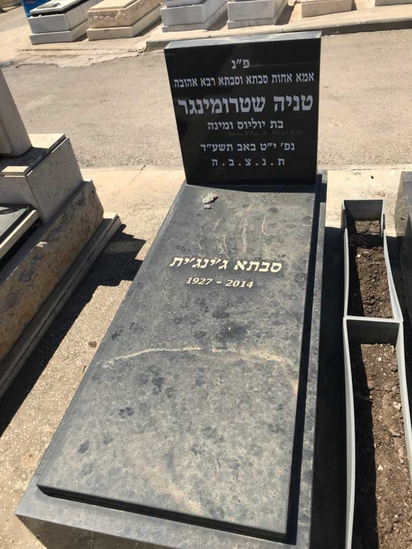 קברו של טניה שטרומינגר. תמונה 2