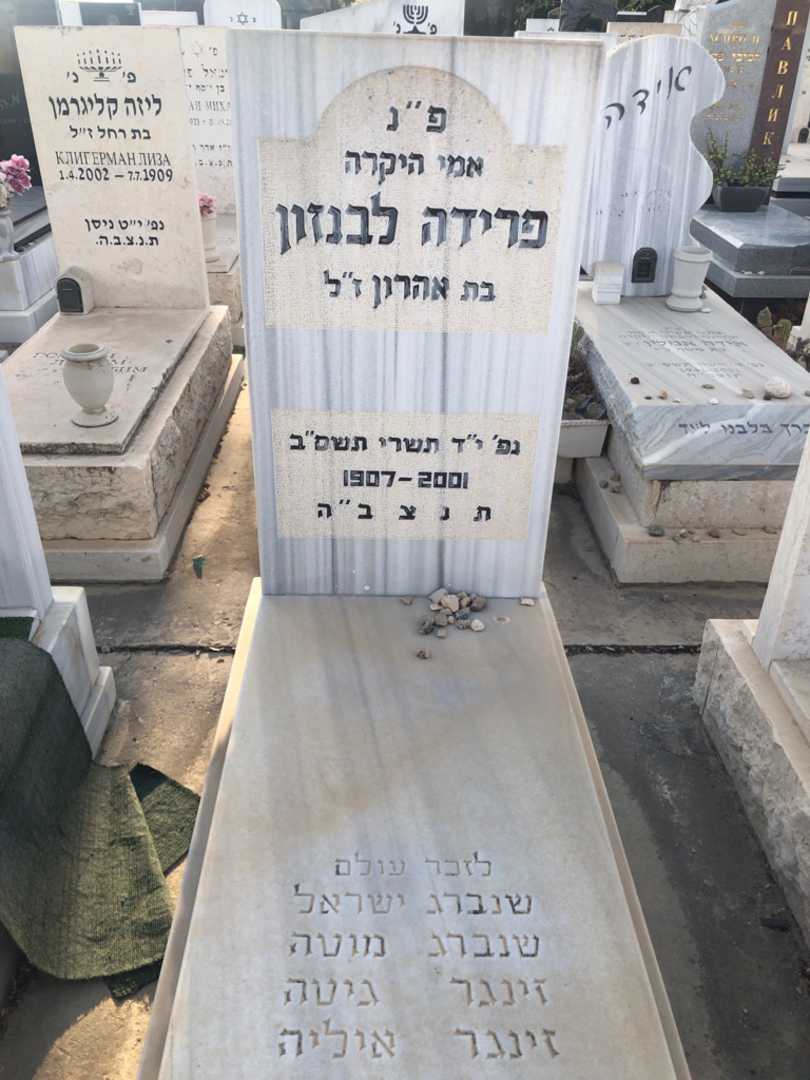 קברו של מוטה שנברג