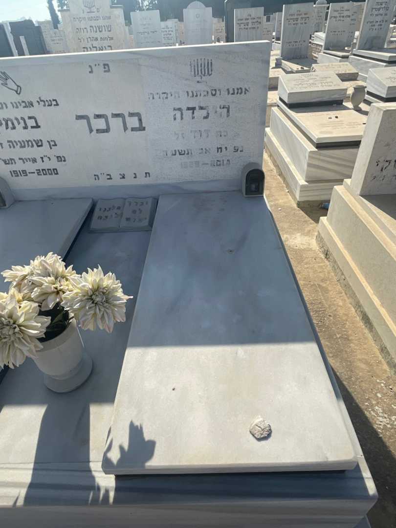 קברו של הילדה ברכר. תמונה 2