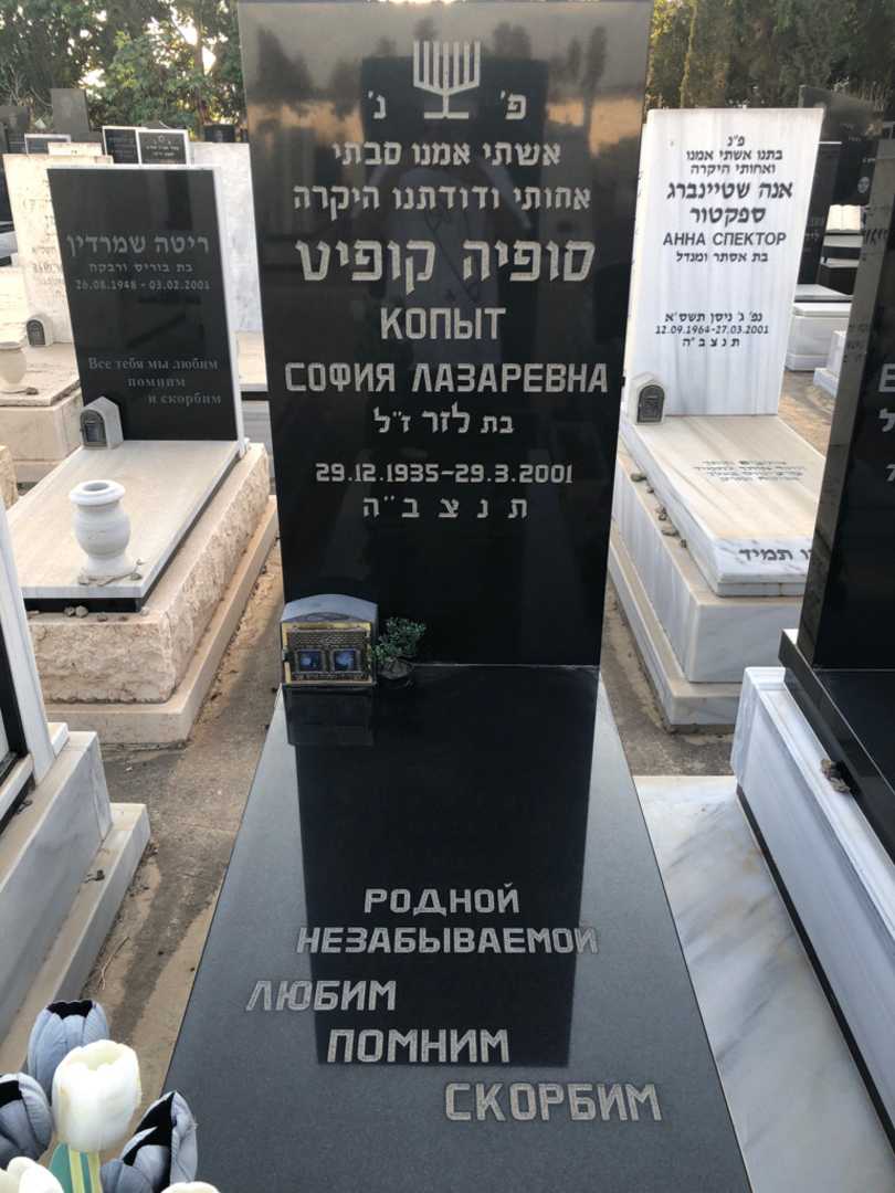 קברו של סופיה קופיט. תמונה 1
