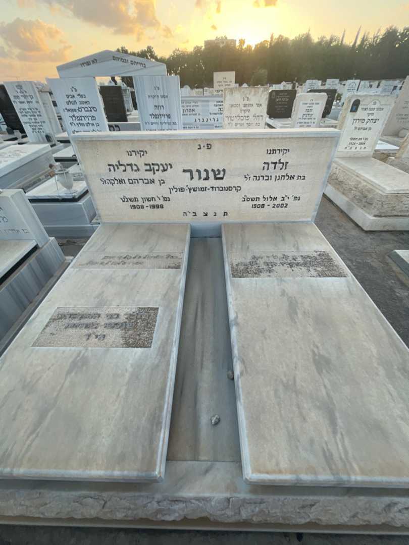 קברו של יעקב גדליה שנור. תמונה 1