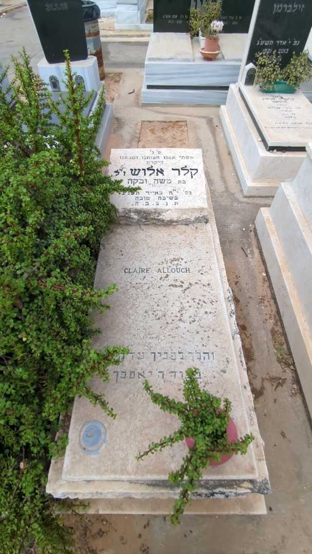 קברו של קלר אלוש