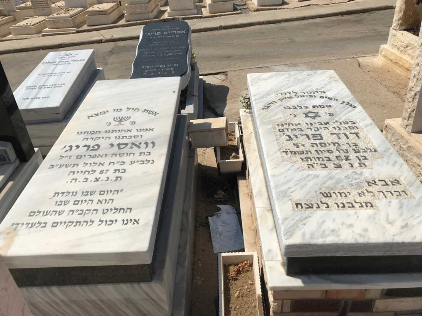 קברו של וואסי פריג'. תמונה 1