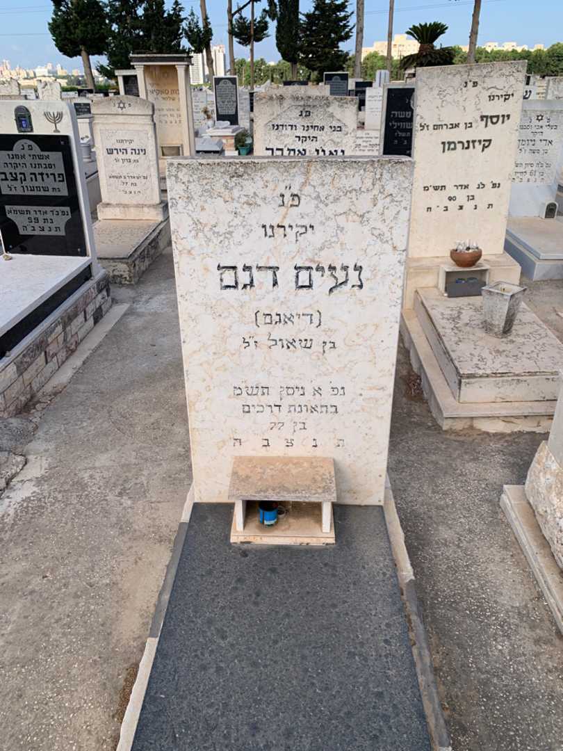 קברו של נעים "דיאגם" דגם