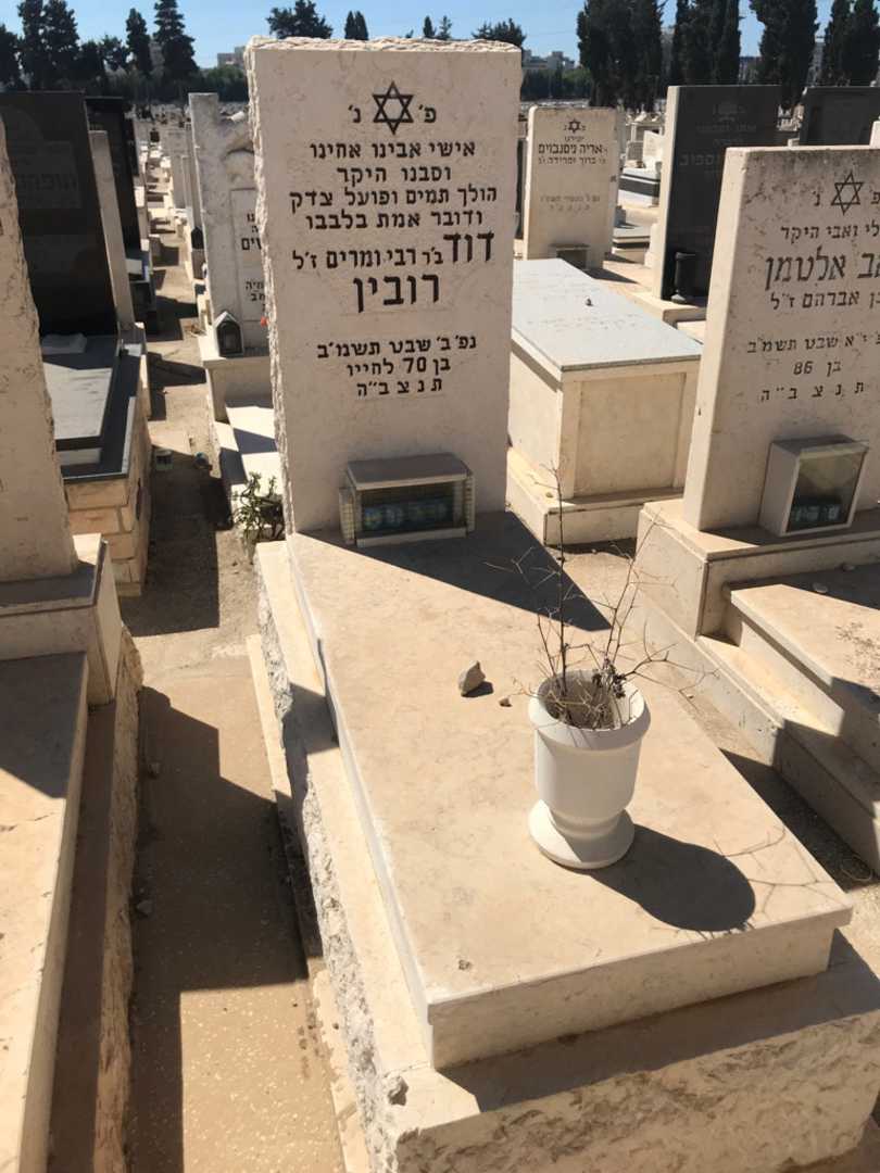 קברו של דוד רובין