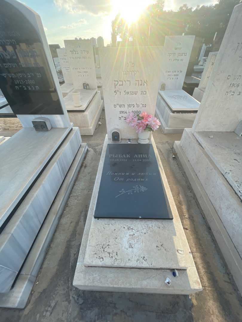 קברו של אנה ריבק