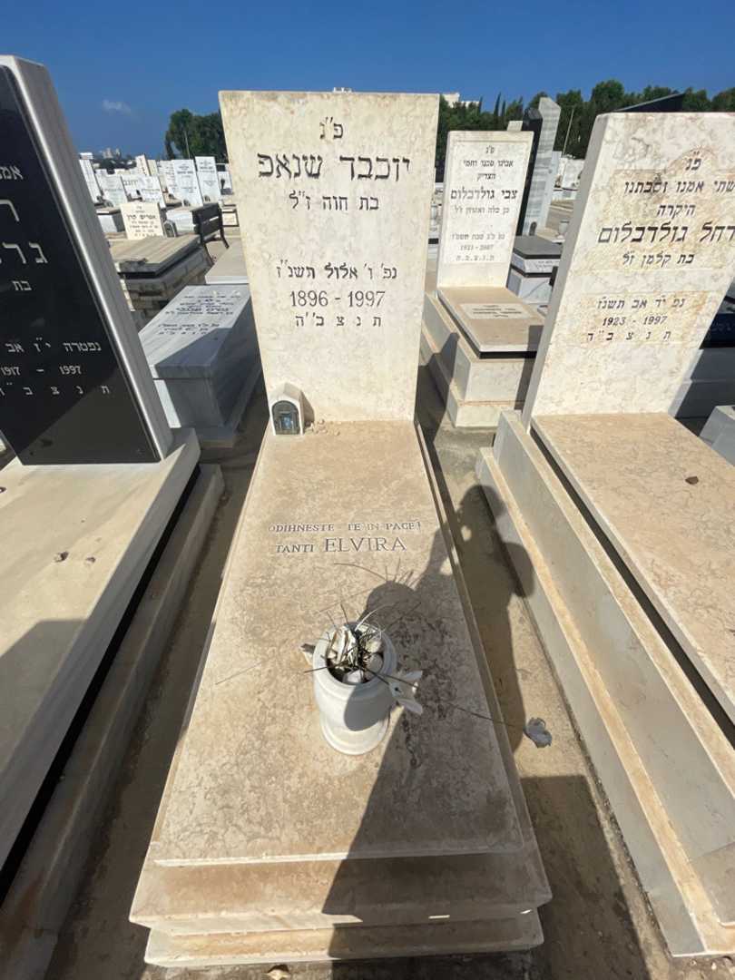 קברו של יוכבד שנאפ
